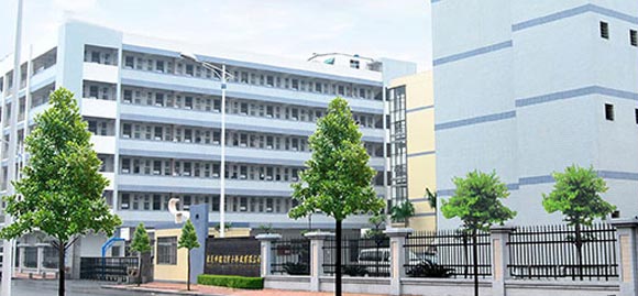 about SHANDONG DAFN CHEMICAL CO.,LTD